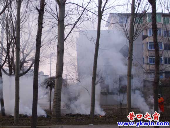 40万罚金阻止不了3堆烟火
