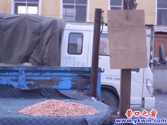 营口：十二月花生仁四元五