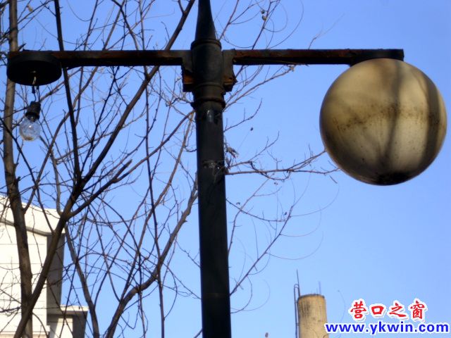 它们没经受住风的考验