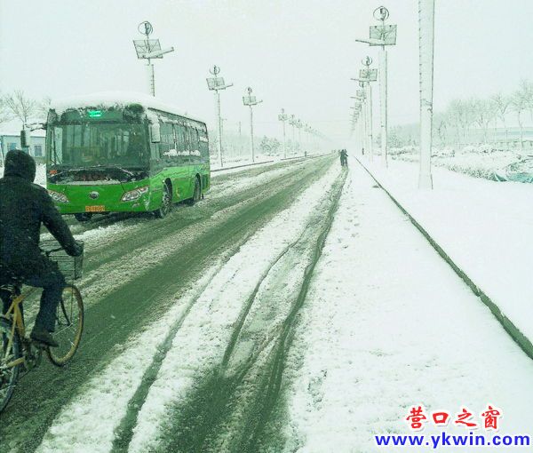 滨城飞雪带春风