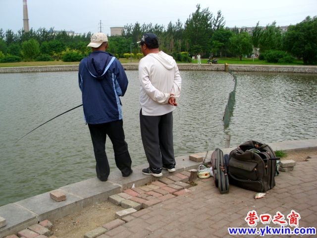 赔钱钓鱼 趣比鱼贵