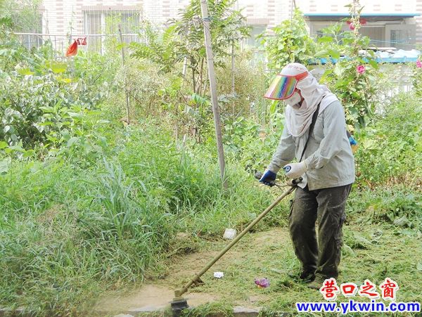 清理小区杂草 营造美好环境