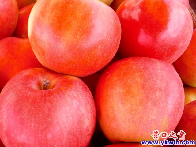 杉莎嘎啦闪亮登场