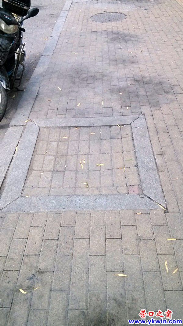 conew_img_20140813_115112