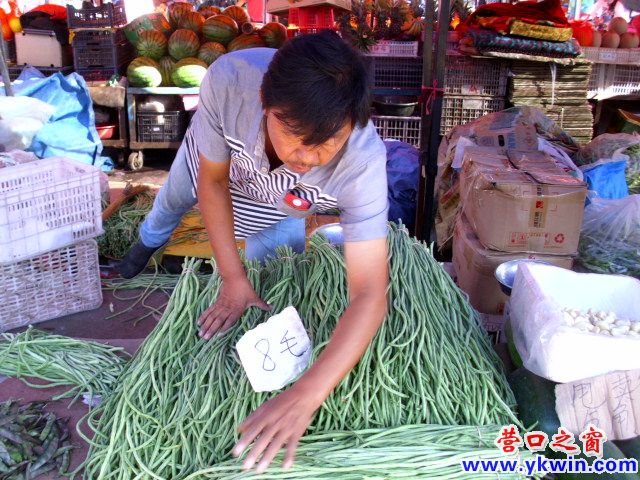 营口市：今秋菜价平均不到一元