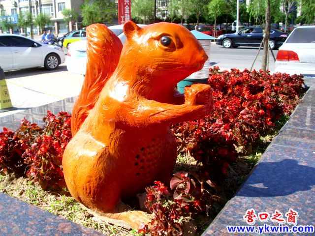 花坛里面“养”动物