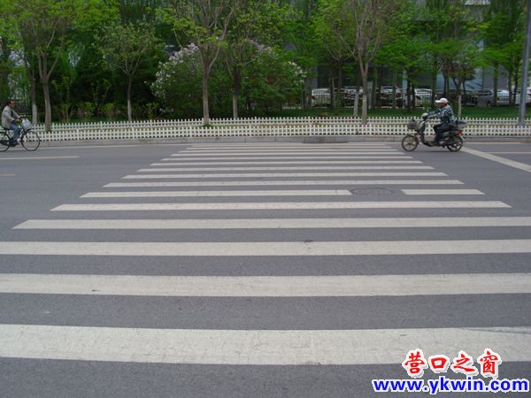 营口再现两条不通人行道的斑马线