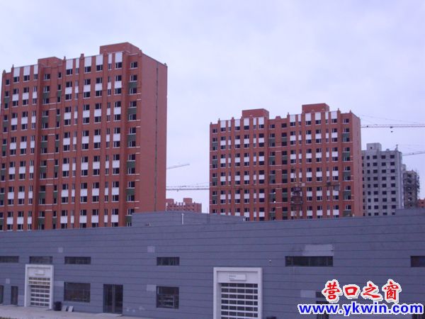 营口市：这片烂尾楼何时才能住人