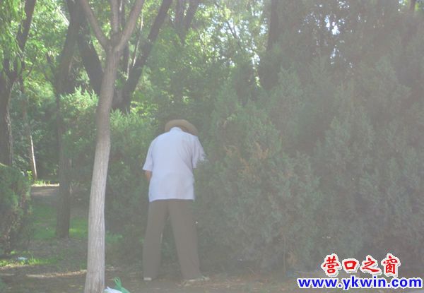 上班路上见到的不雅一幕