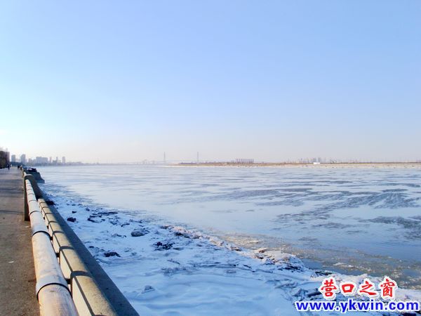 三九严寒没有冻住大辽河