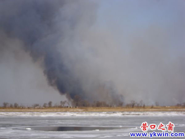 营口河北苇田发生无名大火