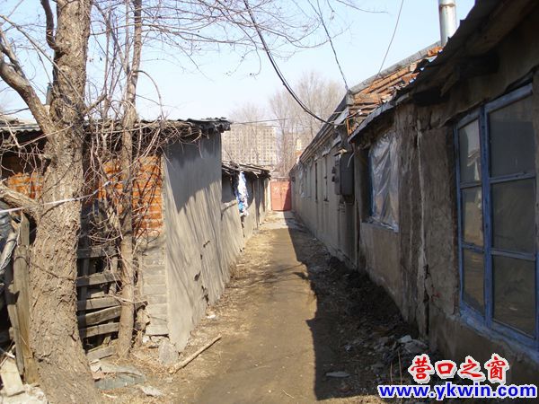 营口市：一片小破房 何时变高楼