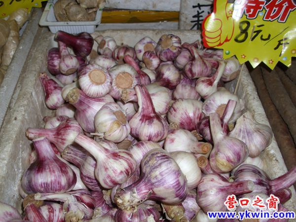 今春，大蒜成了菜市場的貴賓