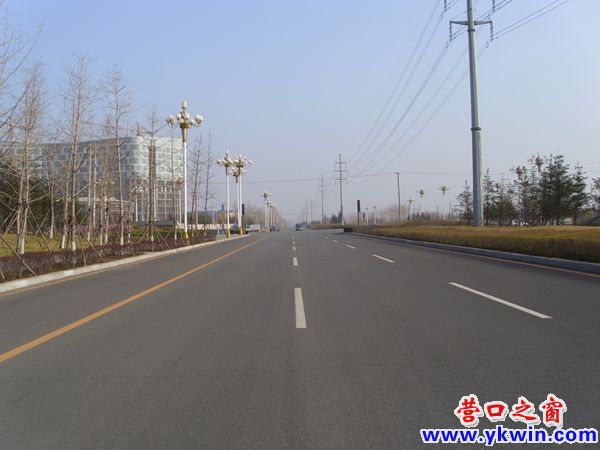 营口市：车辆寥寥无几的大马路