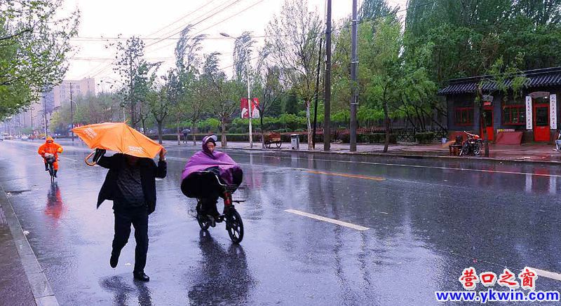 营口雨中街景---手机随手拍