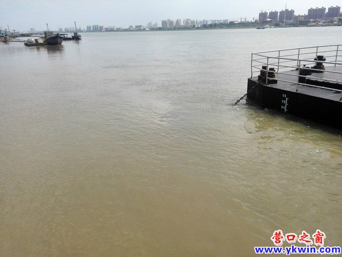 辽河老街漫记 - 青青橄榄 - 营口之窗_中国营口