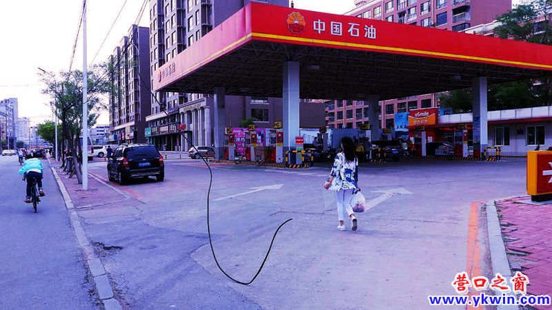 营口市新兴大街：电缆线触地  危险