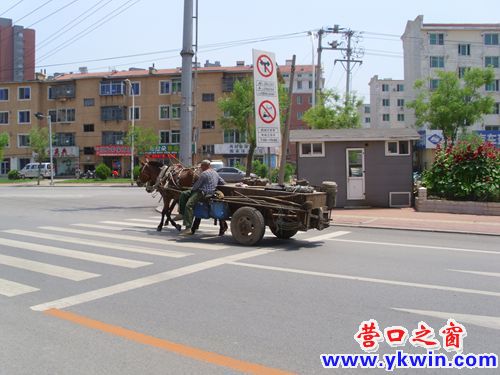 营口新兴大街来了一辆马车