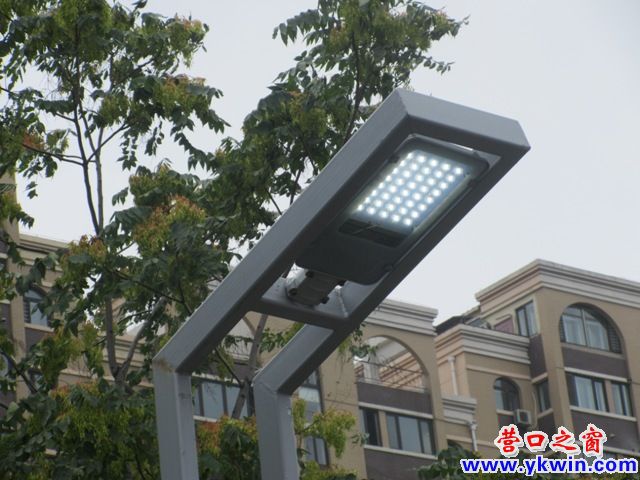 辽河公园为何白天亮灯？