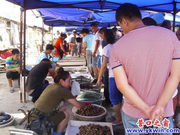 休渔期，营口得胜海鲜市场照样火爆