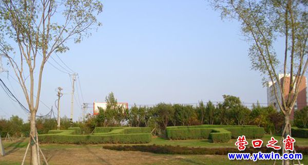 鲜活灌木书写“辽宁（营口）沿海产业基地”