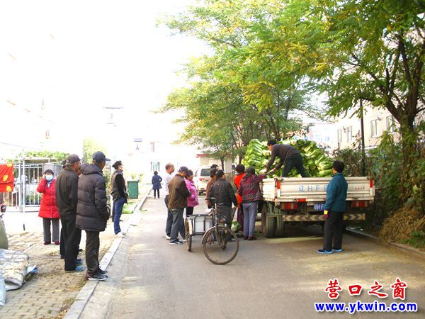 营口今秋大菜市首现高潮