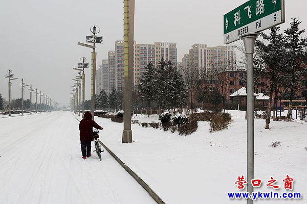 新年后营口首场雪1