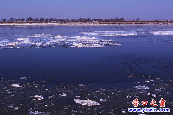 大寒辽河未封2