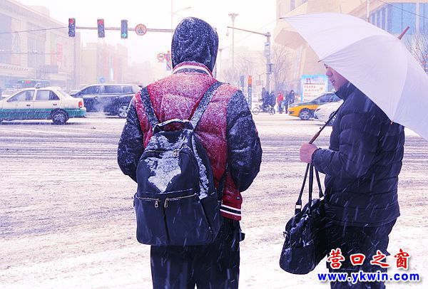春雪润滨城