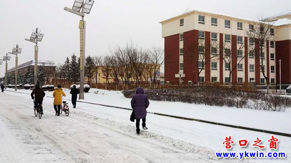 昨夜一场大雪   营口“一夜返冬”