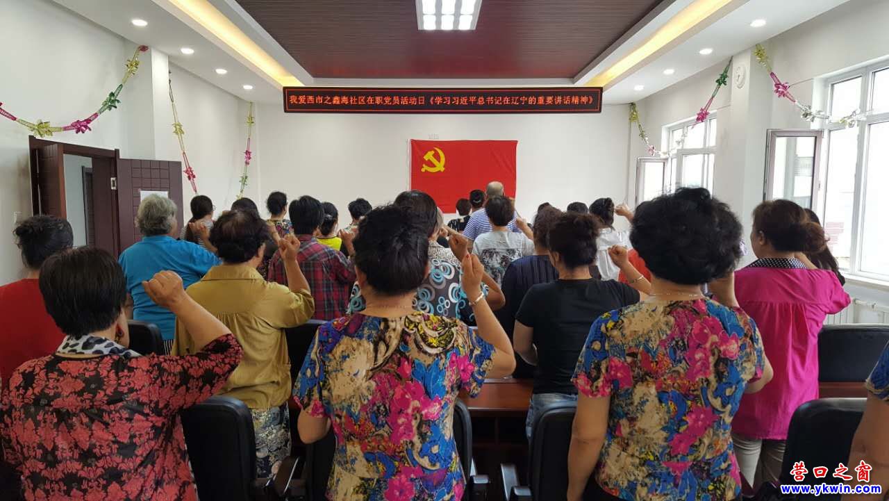 我爱西市之鑫海社区在职党员活动日 - 百姓说事