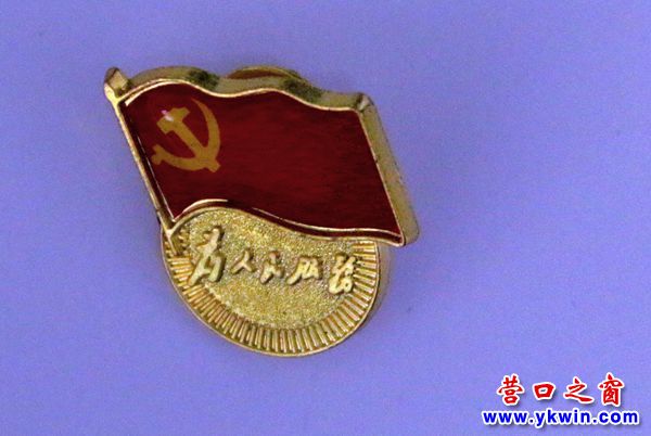 黨徽閃耀慶七一