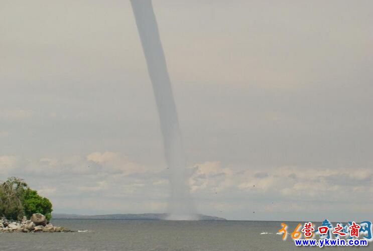高邮龙吸水图片