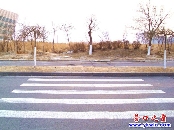 欲走斑馬線必踩綠化島的路口是誰設計的？