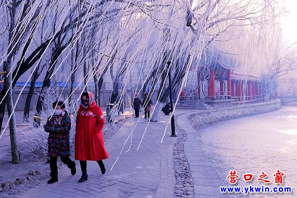 2018年營口第一場霧凇  美極了！