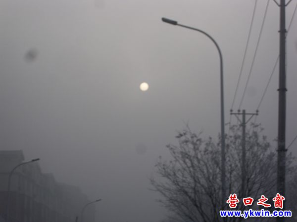 四九第一天營口降濃霧預示艷陽天