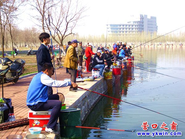 營口市森林公園：釣魚的朋友來相會