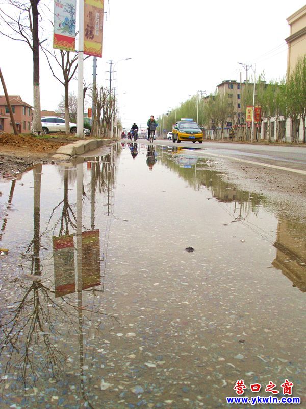 營口太白路邊冒水難倒維修工
