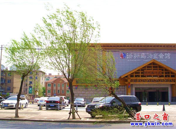 柳樹(shù)半倒 亟待救助