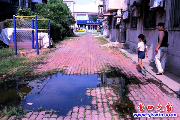 臭！這污水熏得人不敢開窗  該整治啦