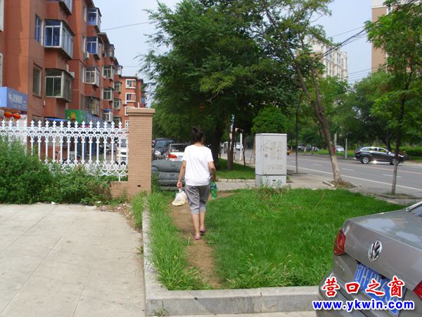 草坪獨寬遭踩踏 沙發(fā)難以攔行人