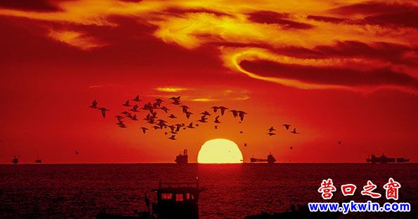 营口辽河入海口
