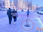 營(yíng)口：僅靠樹枝提醒路人  這里的人行道“暗藏殺機(jī)”