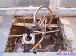 想把共享單車(chē)活埋？