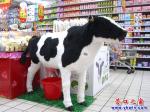 超市里，“奶?！背鍪廴橹破?/></a></dt>
          <a  target=