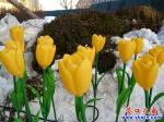中天廣場(chǎng)鑲花邊 喜氣洋洋迎新年