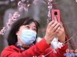 疫情終將無(wú)處去 桃花依舊笑春風(fēng)