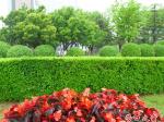 如油春雨連綿不斷 花草樹(shù)木欣欣向榮