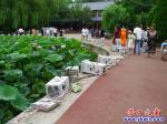 營口楞嚴寺公園荷花湖事件初步調(diào)查結果