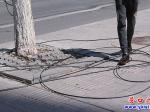 啥情況？人行道滿(mǎn)地都是電纜線